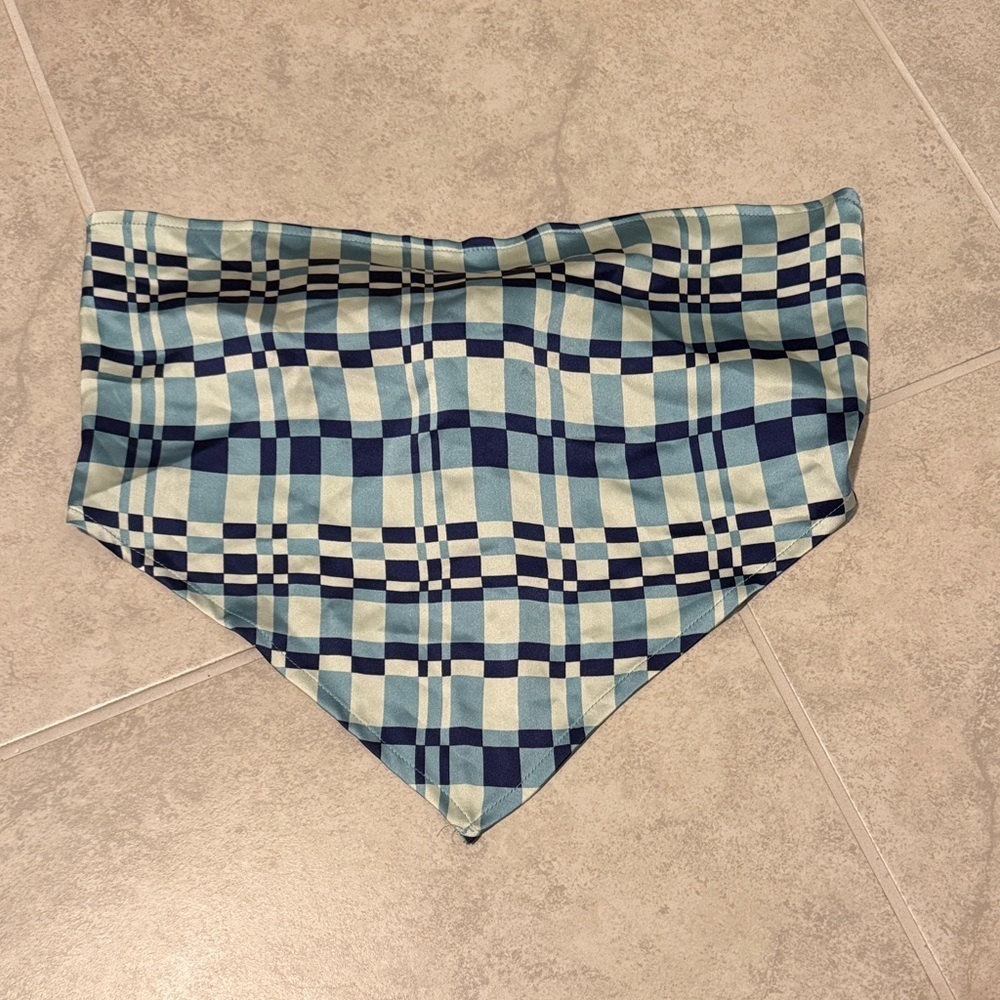 Forever 21 Blue and Cream Plaid Women Crop Top